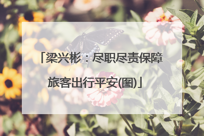 梁兴彬：尽职尽责保障旅客出行平安(图)