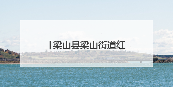 梁山县梁山街道红旗社区良嘉小区开展“艾草传情·粽暖人心”主题活动