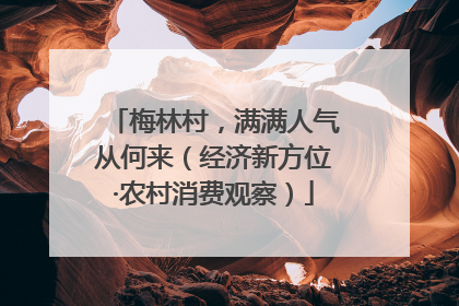 梅林村，满满人气从何来（经济新方位·农村消费观察）
