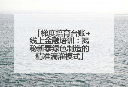 梯度培育台账+线上金融培训：揭秘新泰绿色制造的精准滴灌模式