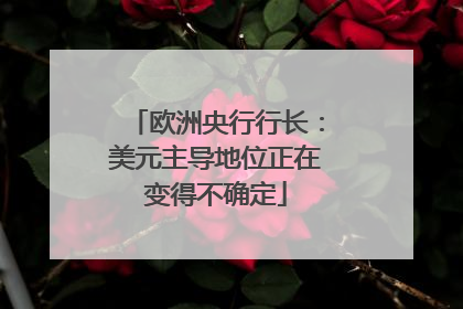 欧洲央行行长：美元主导地位正在变得不确定
