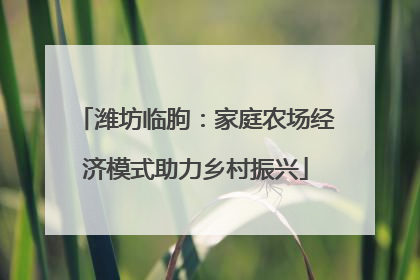 潍坊临朐：家庭农场经济模式助力乡村振兴