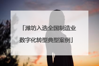 潍坊入选全国制造业数字化转型典型案例