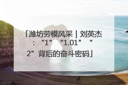 潍坊劳模风采｜刘英杰：“1”“1.01”“2”背后的奋斗密码