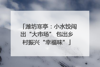 潍坊寒亭：小水饺闯出“大市场” 包出乡村振兴“幸福味”