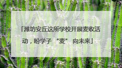 潍坊安丘这所学校开展麦收活动，盼学子 “麦” 向未来