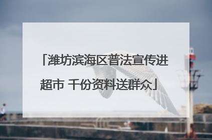 潍坊滨海区普法宣传进超市 千份资料送群众