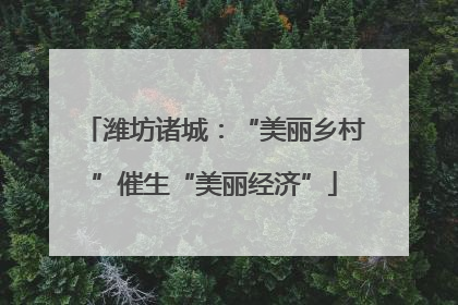 潍坊诸城：“美丽乡村”催生“美丽经济”