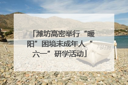 潍坊高密举行“暖阳”困境未成年人“六一”研学活动