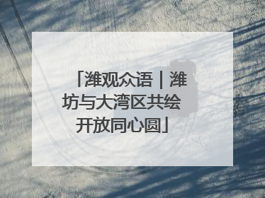 潍观众语｜潍坊与大湾区共绘开放同心圆