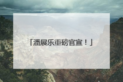 潘展乐重磅官宣！