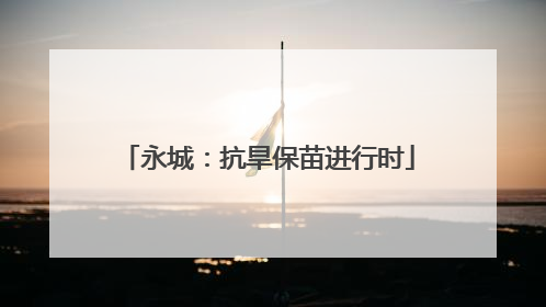 永城：抗旱保苗进行时