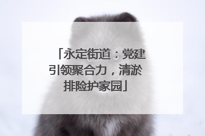 永定街道：党建引领聚合力，清淤排险护家园