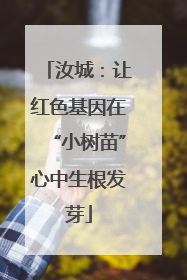 汝城：让红色基因在“小树苗”心中生根发芽