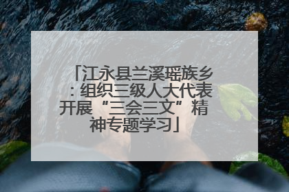 江永县兰溪瑶族乡：组织三级人大代表开展“三会三文”精神专题学习