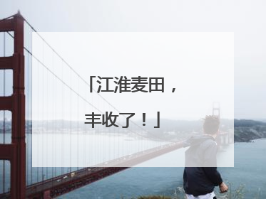 江淮麦田，丰收了！