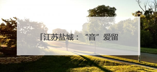 江苏盐城：“音”爱留“夏” 带火一座城
