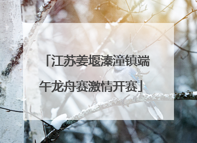 江苏姜堰溱潼镇端午龙舟赛激情开赛