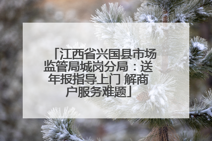 江西省兴国县市场监管局城岗分局：送年报指导上门 解商户服务难题