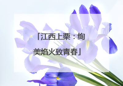 江西上栗：绚美焰火致青春