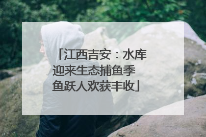 江西吉安：水库迎来生态捕鱼季 鱼跃人欢获丰收