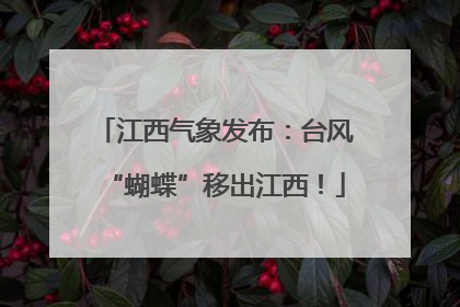 江西气象发布：台风“蝴蝶”移出江西！