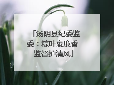 汤阴县纪委监委：粽叶裹廉香 监督护清风