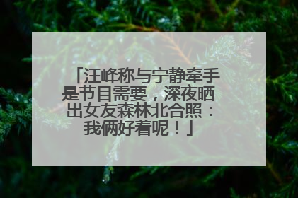 汪峰称与宁静牵手是节目需要，深夜晒出女友森林北合照：我俩好着呢！