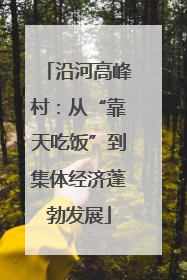 沿河高峰村：从“靠天吃饭”到集体经济蓬勃发展