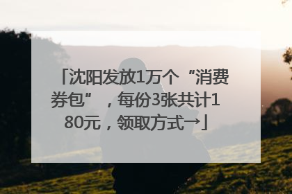 沈阳发放1万个“消费券包”，每份3张共计180元，领取方式→