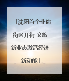 沈阳首个非遗街区开街 文旅新业态激活经济新动能