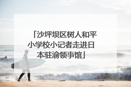 沙坪坝区树人和平小学校小记者走进日本驻渝领事馆