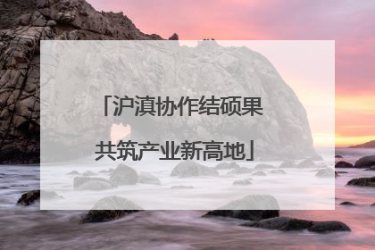 沪滇协作结硕果 共筑产业新高地