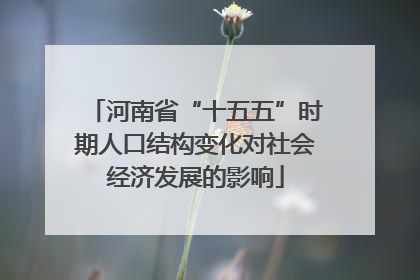 河南省“十五五”时期人口结构变化对社会经济发展的影响