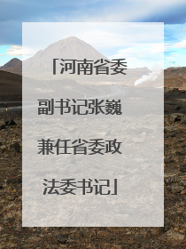 河南省委副书记张巍兼任省委政法委书记