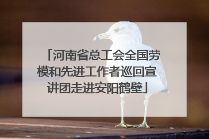 河南省总工会全国劳模和先进工作者巡回宣讲团走进安阳鹤壁