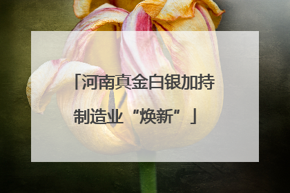 河南真金白银加持制造业“焕新”