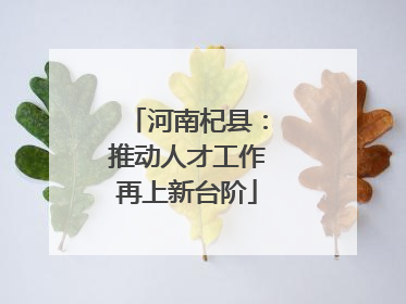 河南杞县：推动人才工作再上新台阶