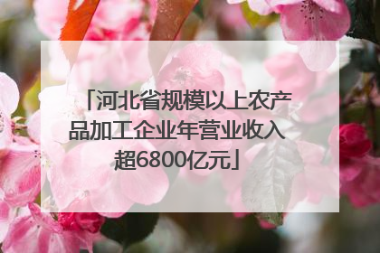 河北省规模以上农产品加工企业年营业收入超6800亿元