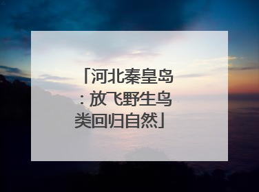 河北秦皇岛：放飞野生鸟类回归自然