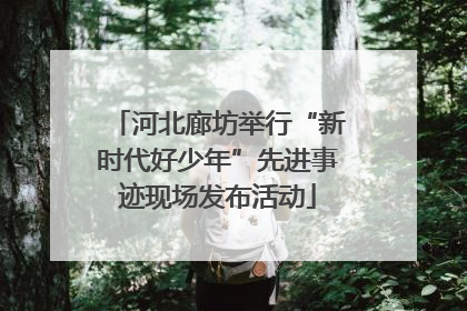 河北廊坊举行“新时代好少年”先进事迹现场发布活动