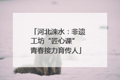 河北涞水：非遗工坊“匠心课” 青春接力育传人