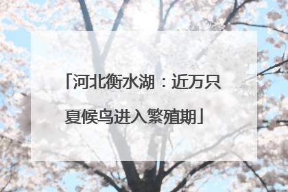 河北衡水湖：近万只夏候鸟进入繁殖期