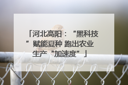 河北高阳：“黑科技”赋能夏种 跑出农业生产“加速度”