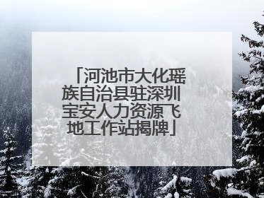 河池市大化瑶族自治县驻深圳宝安人力资源飞地工作站揭牌