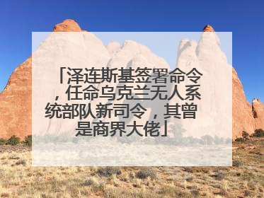 泽连斯基签署命令，任命乌克兰无人系统部队新司令，其曾是商界大佬