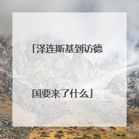 泽连斯基到访德国要来了什么