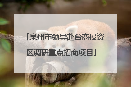 泉州市领导赴台商投资区调研重点招商项目