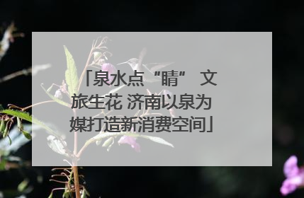 泉水点“睛” 文旅生花 济南以泉为媒打造新消费空间