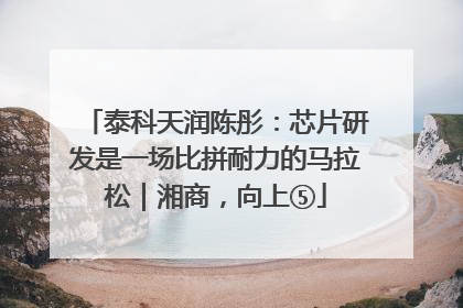 泰科天润陈彤：芯片研发是一场比拼耐力的马拉松｜湘商，向上⑤